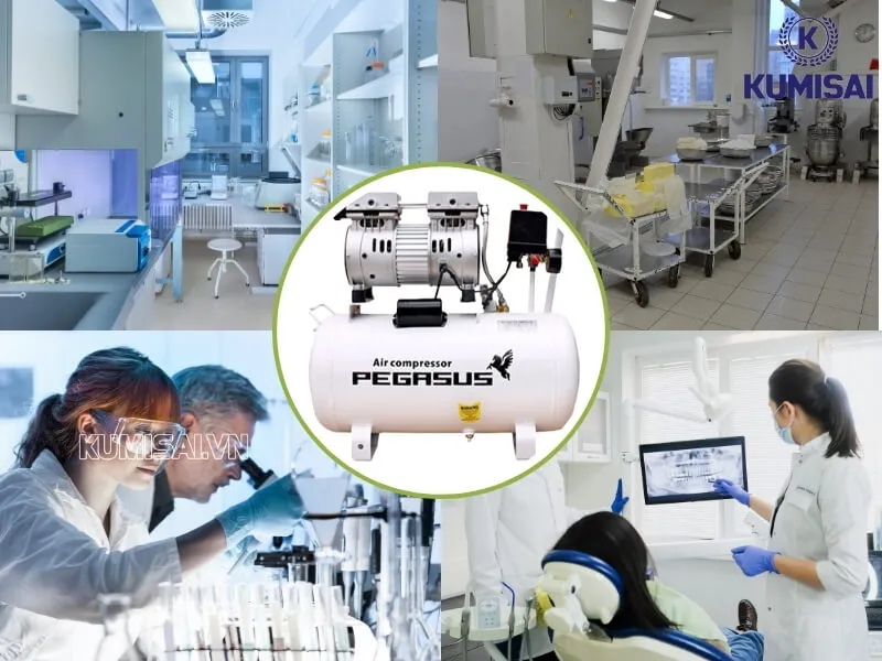 Một số ứng dụng của máy nén khí mini Pegasus TM-OF550-35L Một số ứng dụng của máy nén khí mini Pegasus TM-OF550-35L