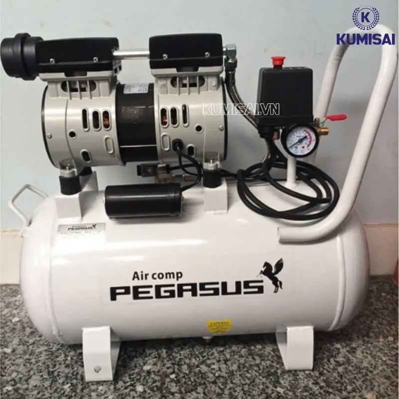 Một số lưu ý khi sử dụng máy nén khí mini Pegasus TM-OF550-35L Một số lưu ý khi sử dụng máy nén khí mini Pegasus TM-OF550-35L