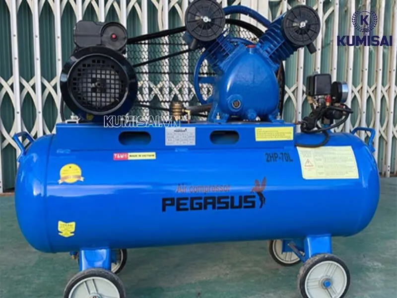 Pegasus TM-V-0.17/8-70L