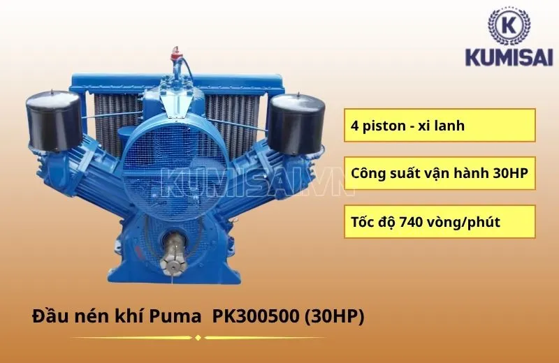 Đầu nén khí Puma Đài Loan PK300500 (30HP) vận hành mạnh mẽ Đầu nén khí Puma Đài Loan PK300500 (30HP) vận hành mạnh mẽ