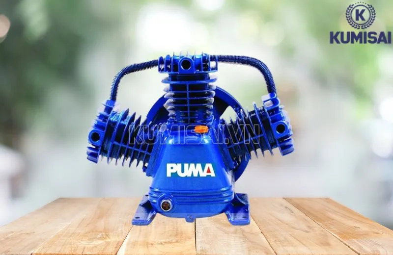 Hình ảnh đầu nén khí Puma PX15300 (15HP) Hình ảnh đầu nén khí Puma PX15300 (15HP)
