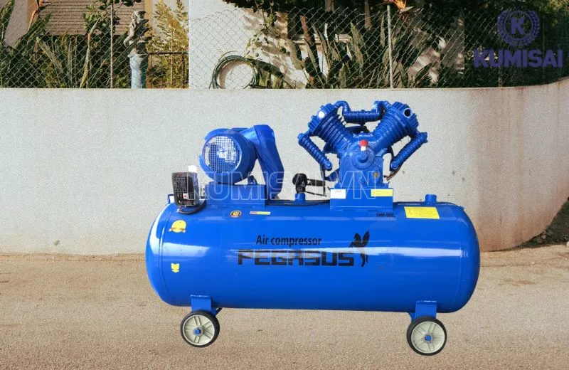 Diện mạo của máy nén khí Pegasus TM-V-1.05/12.5-500L
