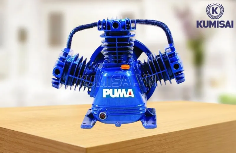 Đầu nén khí Puma PX10300 (10HP)