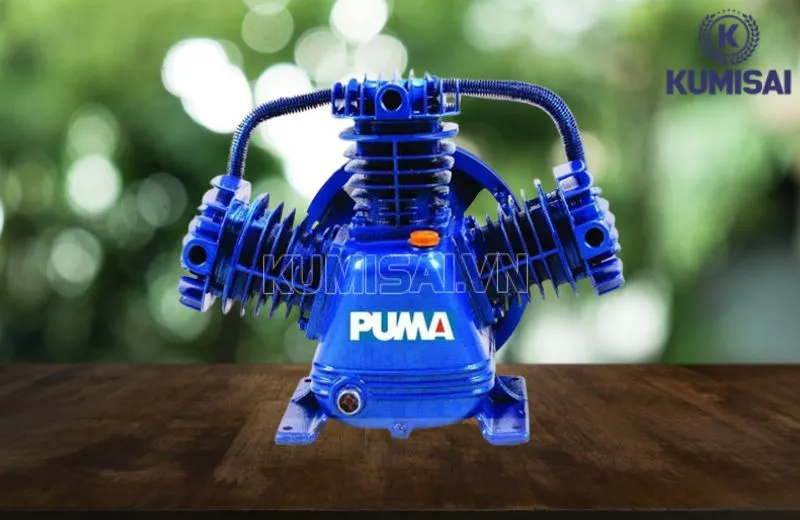 Hình ảnh đầu nén khí Puma PX3120 (3HP) Hình ảnh đầu nén khí Puma PX3120 (3HP)