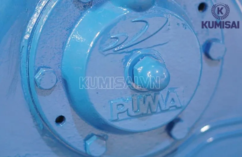 Thương hiệu Puma là brand danh tiếng Thương hiệu Puma là brand danh tiếng