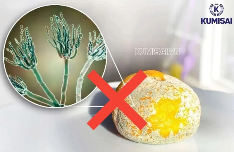 Máy hút ẩm giúp hạn chế nấm mốc phát sinh trong đồ ăn Máy hút ẩm giúp hạn chế nấm mốc phát sinh trong đồ ăn