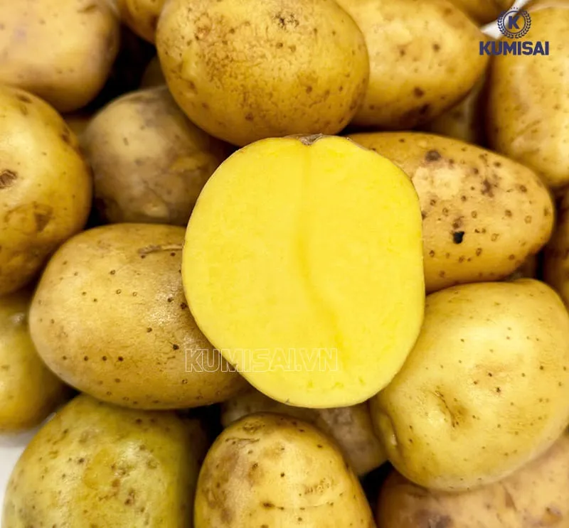 Khôi phục giày nhung bị mốc bằng khoai tây tươi Khôi phục giày nhung bị mốc bằng khoai tây tươi