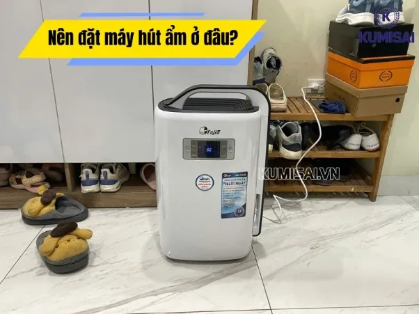 Nên đặt máy hút ẩm ở đâu? Vị trí đặt quyết định hiệu quả khử ẩm