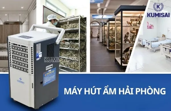 Máy hút ẩm Hải Phòng: Bảng giá sản phẩm “HOT” 2026