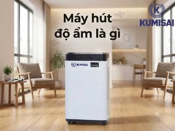 Máy hút độ ẩm là gì? Công dụng, cách chọn và sử dụng hiệu quả