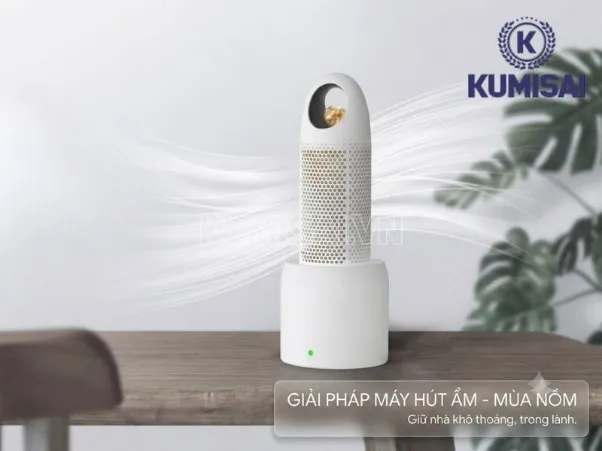 Máy hút ẩm cho mùa nồm: Top lựa chọn hiệu quả cho gia đình