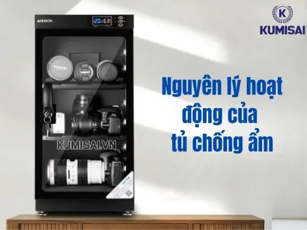 Nguyên lý hoạt động của tủ chống ẩm: chi tiết, dễ hiểu