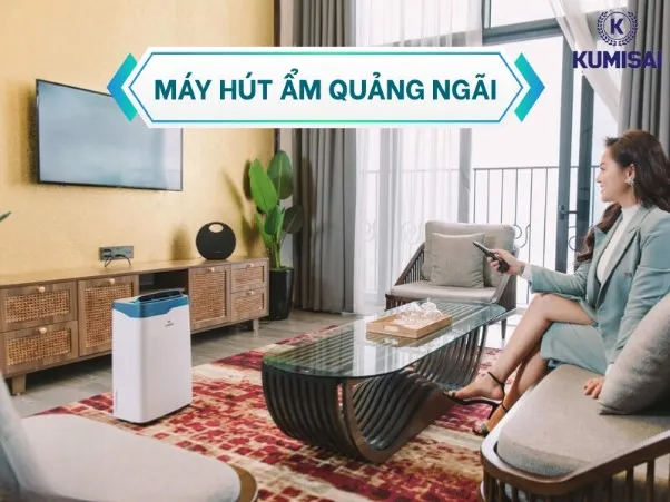 Máy hút ẩm Quảng Ngãi: Địa chỉ mua hàng chính hãng, uy tín