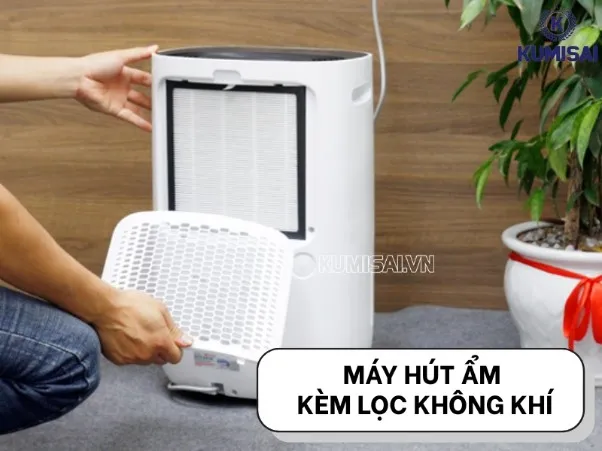 Có nên mua máy hút ẩm kèm lọc không khí? 4 lợi ích bất ngờ