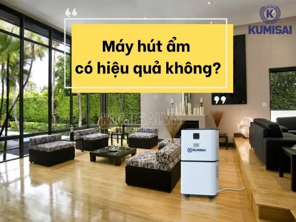 Máy hút ẩm có hiệu quả không? Ưu nhược điểm và cách dùng