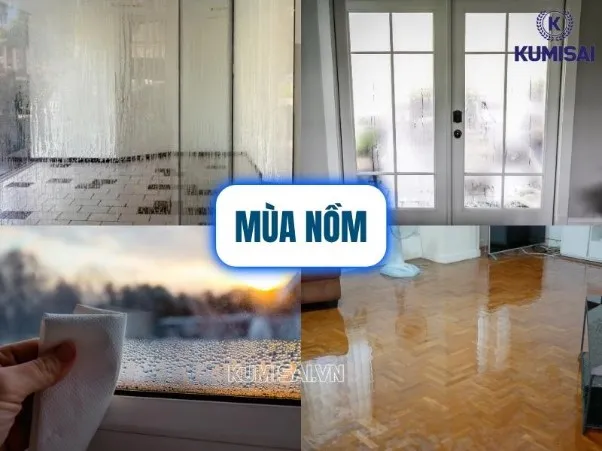 Mùa Nồm Ẩm Là Gì? Mấy Tháng Có Nồm & Cách Phòng Tránh A-Z