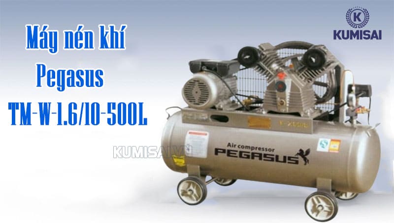 Tìm hiểu về máy nén khí Pegasus TM-W-1.6/10-500L