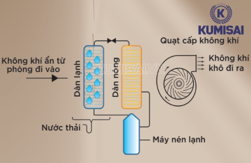 Cách thức IKENO ID-12000S xử lý độ ẩm trong không khí