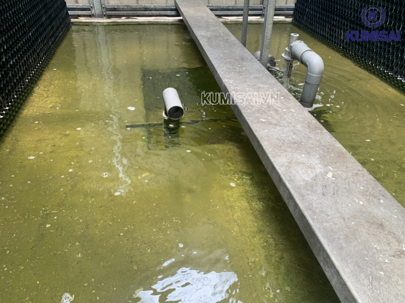 Diệt khuẩn bằng hóa chất có tính axit nhẹ