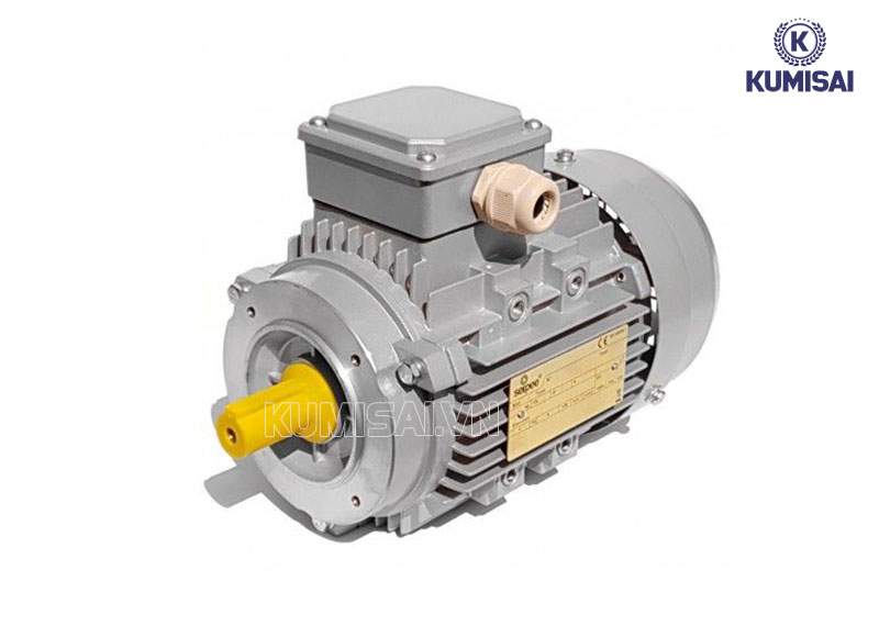 Động cơ cảm ứng từ 7.5KW