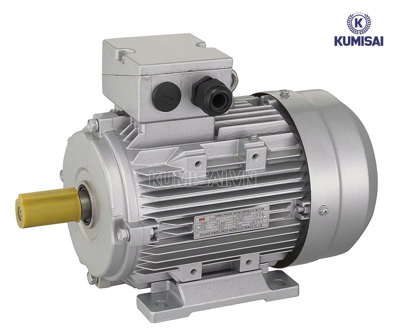 Động cơ cảm ứng từ mạnh mẽ, bền bỉ 