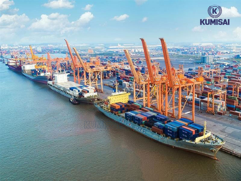 HS Code giúp tra cứu biểu thuế suất