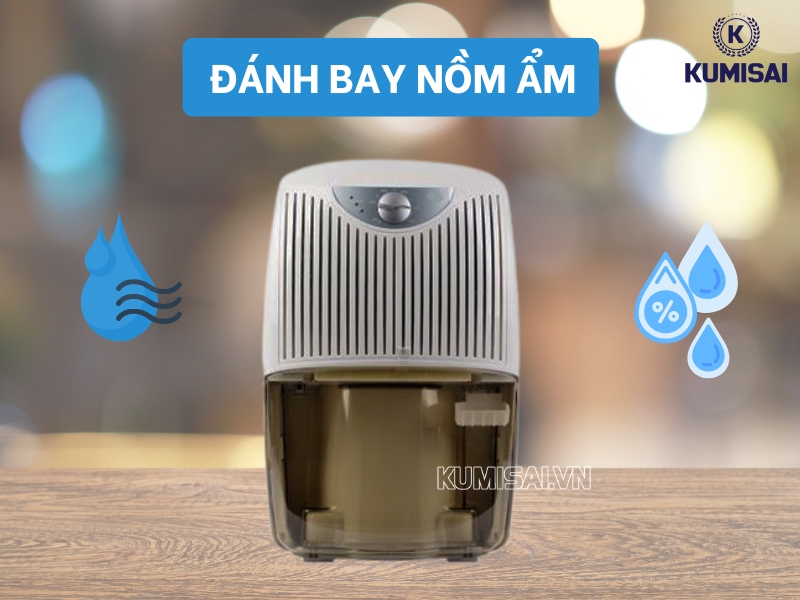 Khắc tinh của nồm ẩm, duy trì không gian khô thoáng