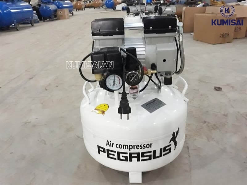 Khí nén đầu ra của máy Pegasus TM-OF750-50L sạch, tinh khiết
