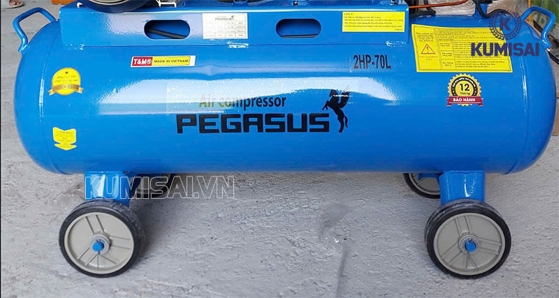 Kiểu dáng máy nén khí Pegasus TM-V-0.17/8-70L