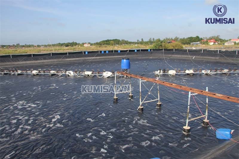 Lắp đặt máy nén khí nuôi tôm đúng kỹ thuật