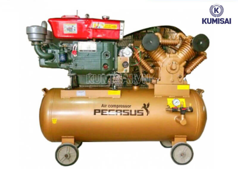 Pegasus TM-W-1.6/8-500L chạy dầu Pegasus TM-W-1.6/8-500L chạy dầu