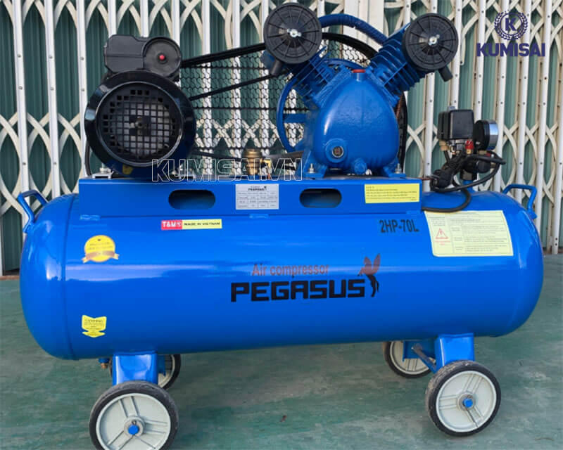 Pegasus TM-V-0.17/8-70L