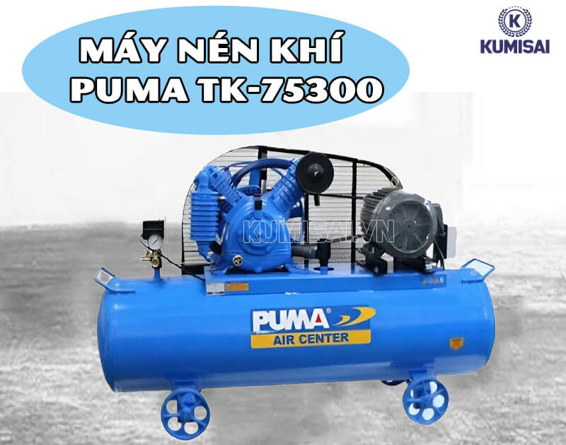 Tìm hiểu máy nén khí Puma PX-1090