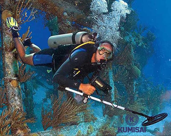 Máy dò kim loại Fisher 1280-X Fisher chống nước