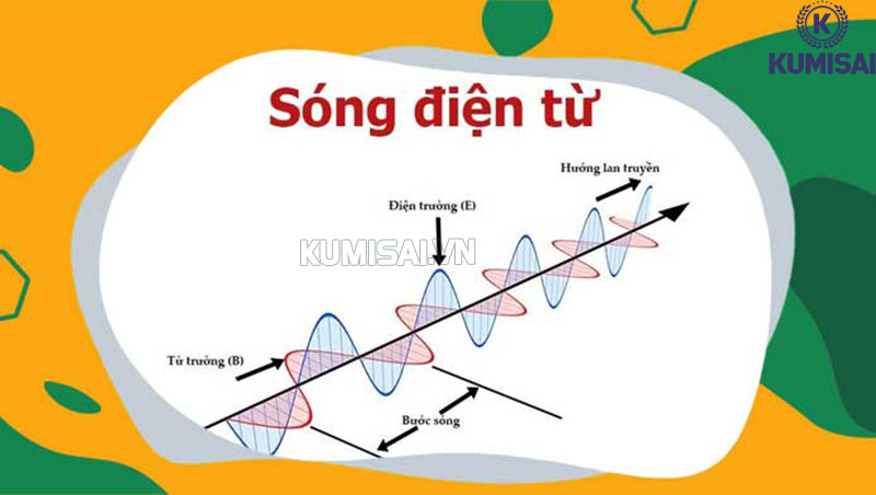 Mức độ phơi nhiễm từ máy dò kim loại không gây ra vấn đề sức khỏe nghiêm trọng