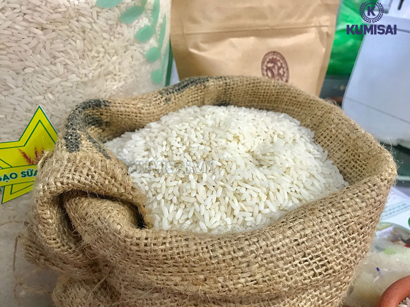 Máy dò kim loại chuyên dụng giúp đảm bảo chất lượng & an toàn gạo