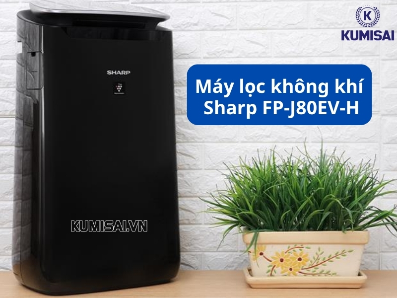 Máy lọc không khí Sharp FP-J80EV-H Máy lọc không khí Sharp FP-J80EV-H