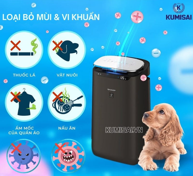3 Màng lọc cao cấp 3 Màng lọc cao cấp