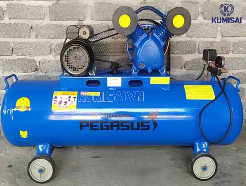 Pegasus TM-V-0.36/8 220V