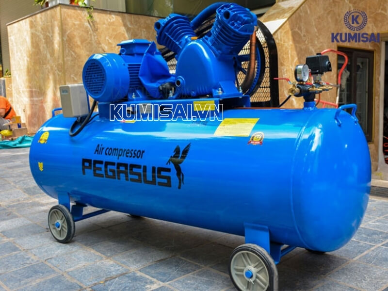 Pegasus TM-V-0.6/8-330L