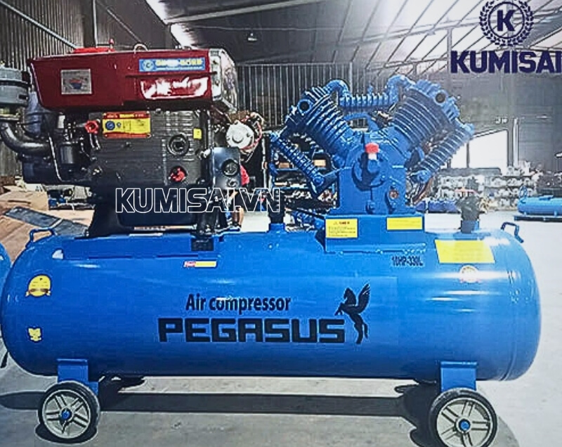 Pegasus TM-V-1.05/12.5-330L