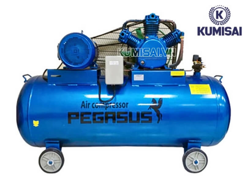 Pegasus TM-W-1.0/8-330L