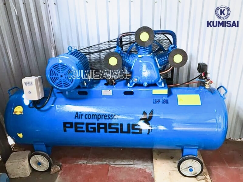 Pegasus dây đai TM-W-0.67/12.5-330L