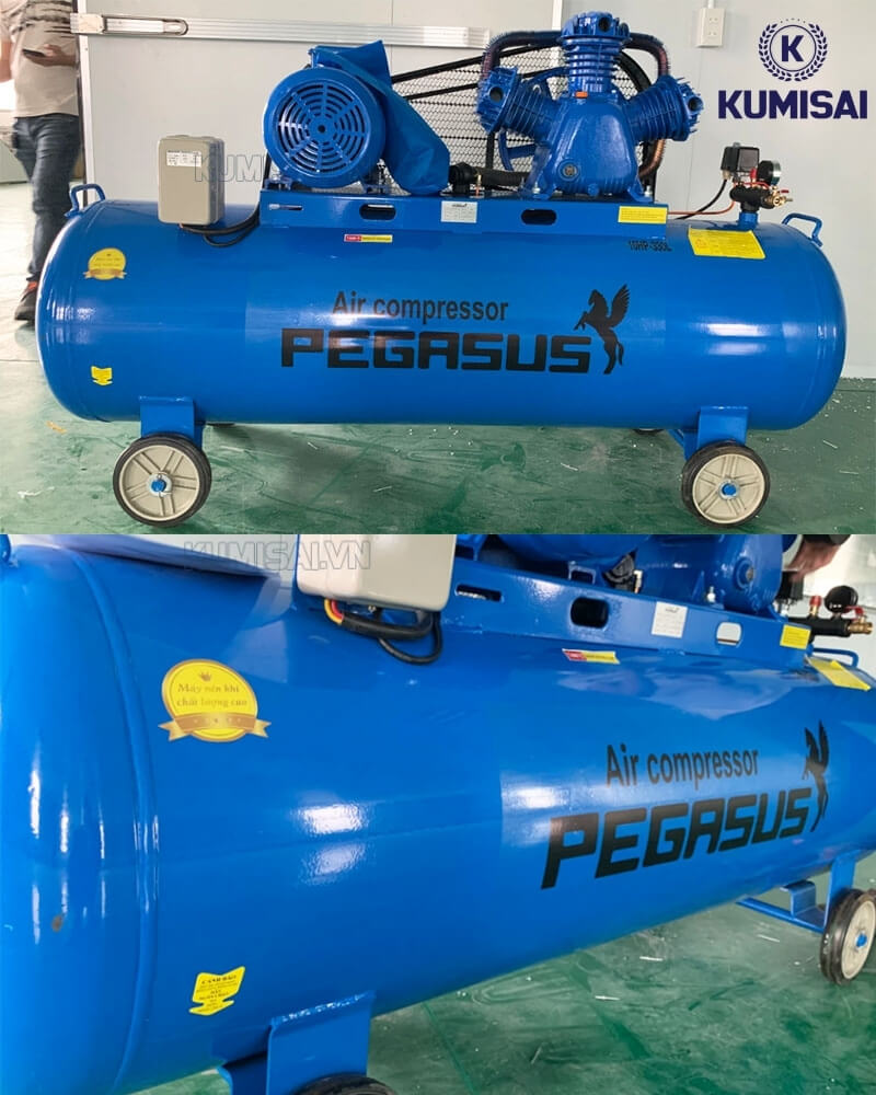 Pegasus TM-W-0.9/8-330L