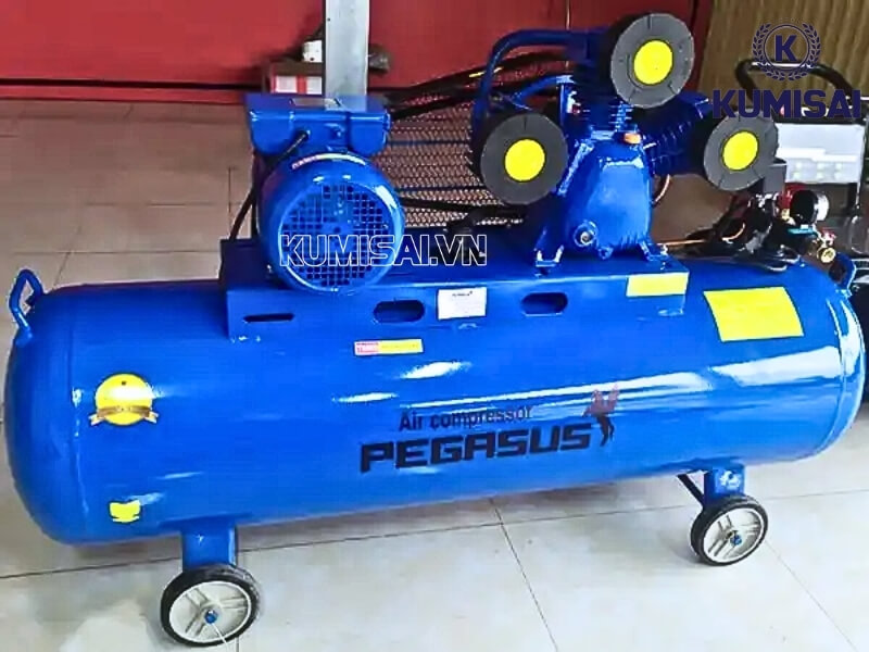 Pegasus TM-W-0.36/8-330L