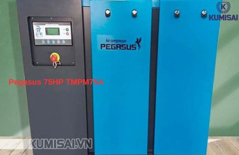 Máy nén khí trục vít 600m3/h Pegasus 75hp TMPM75A