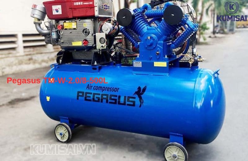 Máy nén khí đầu nổ 600m3/h Pegasus 20hp TM-W-2.0/8-500L
