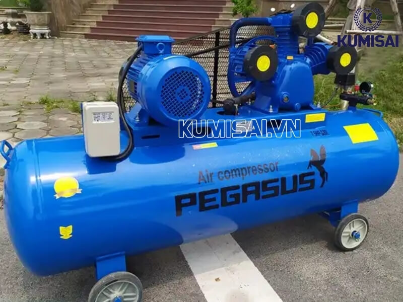 Máy nén khí chất lượng cao Pegasus TM-W-0.67/8-330L