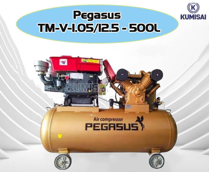 Tìm hiểu về máy nén khí chạy dầu Pegasus TM-V-1.05/12.5 - 500L