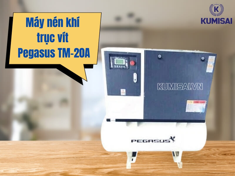 Tìm hiểu về máy nén khí trục vít Pegasus TM-20A